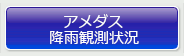 アメダス観測値
